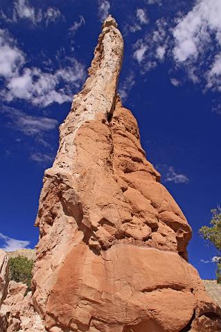 022 cottonwood canyon road,  kodachrome basin state park.JPG